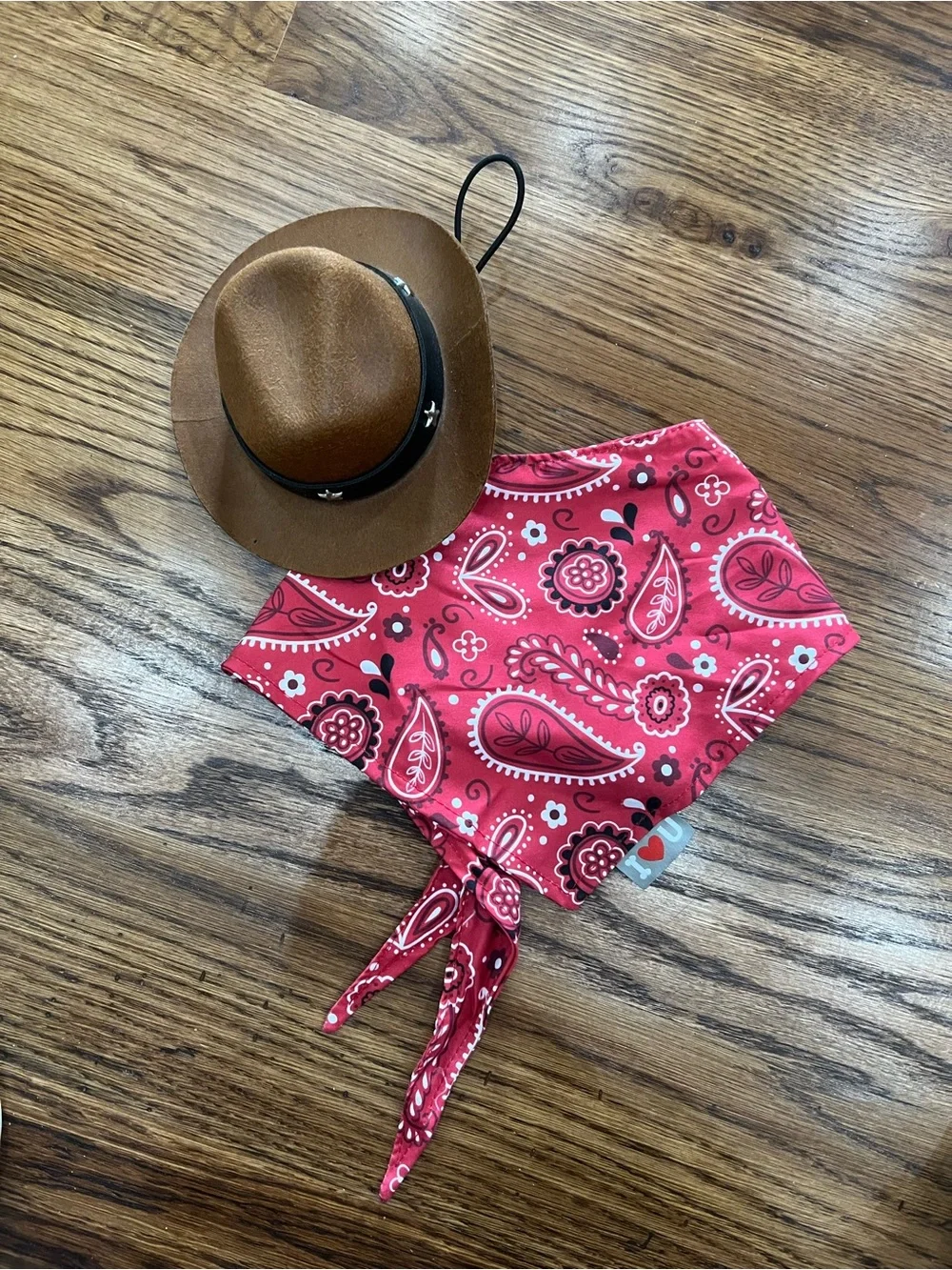 Red Paisley Kids Bandana Headscarf - Kids Accessories